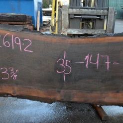 Goby Walnut Products Oregon Black Walnut Slab 122619-02 Green Slabs