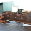 Goby Walnut Products Oregon Black Walnut Slab 122619-03 Green Slabs
