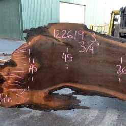Goby Walnut Products Oregon Black Walnut Slab 122619-03 Green Slabs