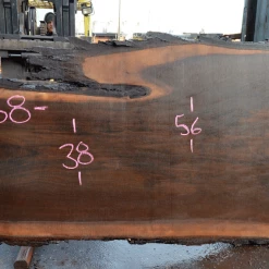 Goby Walnut Products Oregon Black Walnut Slab 122619-03 Green Slabs