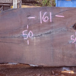 Goby Walnut 122718-01 Oregon Black Walnut Slab