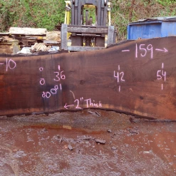 Goby Walnut Green Slabs 122718-10 Oregon Black Walnut Slab