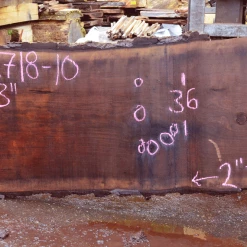 Goby Walnut Green Slabs 122718-10 Oregon Black Walnut Slab