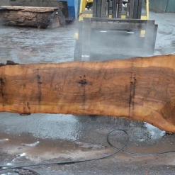Goby Walnut Products Green Slabs Oregon Black Walnut Slab 122719-01