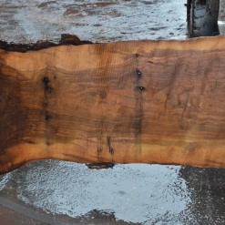 Goby Walnut Products Green Slabs Oregon Black Walnut Slab 122719-01
