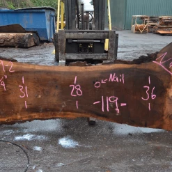 Goby Walnut Products Oregon Black Walnut Slab 122719-02 Green Slabs