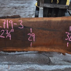 Goby Walnut Products Oregon Black Walnut Slab 122719-03 Green Slabs