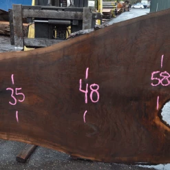 Goby Walnut Products Oregon Black Walnut Slab 122719-04 Green Slabs