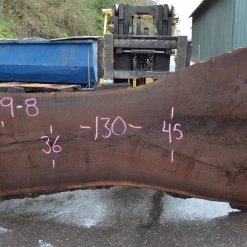 Goby Walnut Products Green Slabs Oregon Black Walnut Slab 122719-08