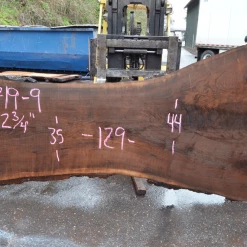 Goby Walnut Products Oregon Black Walnut Slab 122719-09 Green Slabs