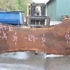 Goby Walnut Products Oregon Black Walnut Slab 122719-10 Green Slabs