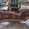 Goby Walnut Products Green Slabs Oregon Black Walnut Slab 122819-01