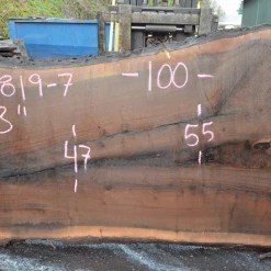 Goby Walnut Products Oregon Black Walnut Slab 122819-07 Green Slabs
