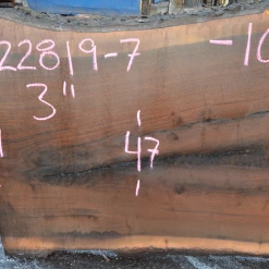 Goby Walnut Products Oregon Black Walnut Slab 122819-07 Green Slabs