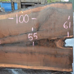 Goby Walnut Products Oregon Black Walnut Slab 122819-07 Green Slabs