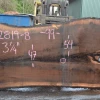 Goby Walnut Products Oregon Black Walnut Slab 122819-08
