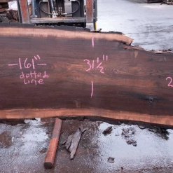 Goby Walnut Products Oregon Black Walnut Slab 122920-04 Green Slabs