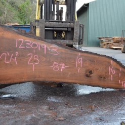 Goby Walnut Products Elm Slab 123019-03