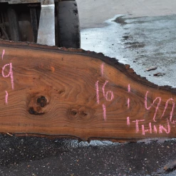 Goby Walnut Products Elm Slab 123019-03