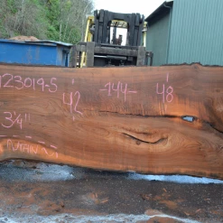 Goby Walnut Products Elm Slab 123019-05