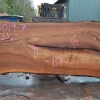 Goby Walnut Products Elm Slab 123019-07 Green Slabs