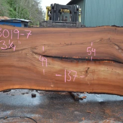 Goby Walnut Products Elm Slab 123019-07 Green Slabs