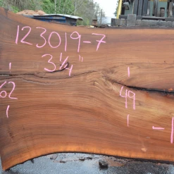 Goby Walnut Products Elm Slab 123019-07 Green Slabs