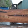 Goby Walnut Products Green Slabs Elm Slab 123019-09