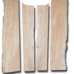 Goby Walnut Big Leaf Maple Acoustic Guitar Set MSAMB-1508 Tonewoods