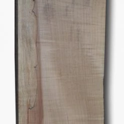 Goby Walnut Big Leaf Maple Board B2012 Figured Shorts
