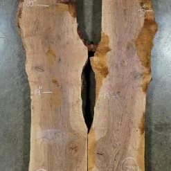 Goby Walnut Bastogne Walnut Bookmatch BMBW-1013