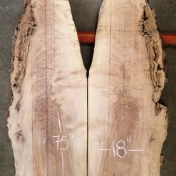 Goby Walnut Oregon Black Walnut Bookmatch BMBW-981 Bookmatched Boards