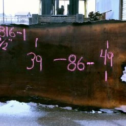 Goby Walnut Oregon Black Walnut Slab 020816-01 Green Slabs