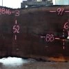 Goby Walnut Green Slabs Oregon Black Walnut Slab 020816-03