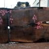 Goby Walnut Green Slabs Oregon Black Walnut Slab 020816-08