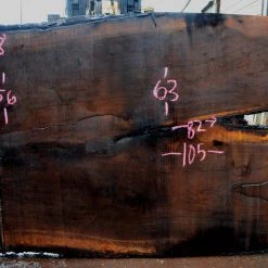 Goby Walnut Green Slabs Oregon Black Walnut Slab 020816-08