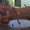 Goby Walnut Products Oregon Black Walnut Slab 082221-07