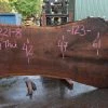 Goby Walnut Products Oregon Black Walnut Slab 082221-08 Green Slabs