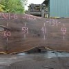Goby Walnut Products Green Slabs Oregon Black Walnut Slab 082321-06