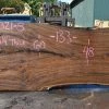 Goby Walnut Products Oregon Black Walnut Slab 082321-08 Green Slabs
