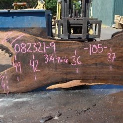 Goby Walnut Products Oregon Black Walnut Slab 082321-09 Green Slabs