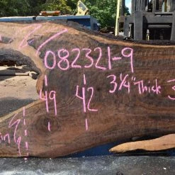 Goby Walnut Products Oregon Black Walnut Slab 082321-09 Green Slabs