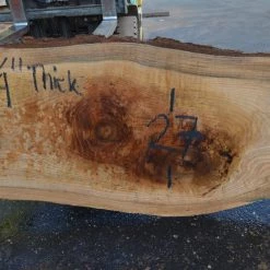 Goby Walnut Products Green Slabs Red Oak Slab 082421-01