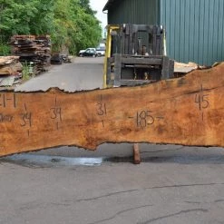 Goby Walnut Products Green Slabs Big Leaf Maple Slab 072121-01