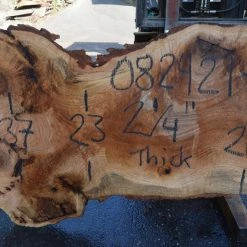 Goby Walnut Products Red Oak Slab 082421-04