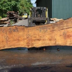 Goby Walnut Products Big Leaf Maple Slab 072121-02