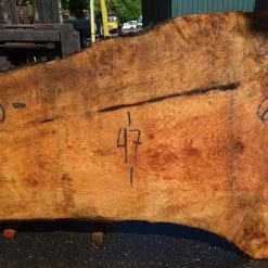 Goby Walnut Products Big Leaf Maple Slab 072121-02