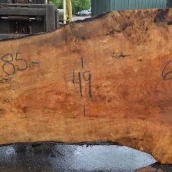 Goby Walnut Products Green Slabs Big Leaf Maple Slab 072121-03