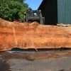 Goby Walnut Products Big Leaf Maple Slab 072121-06