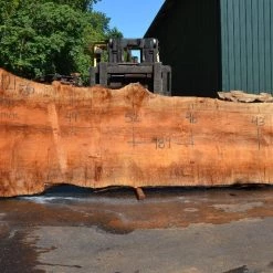 Goby Walnut Products Big Leaf Maple Slab 072121-06